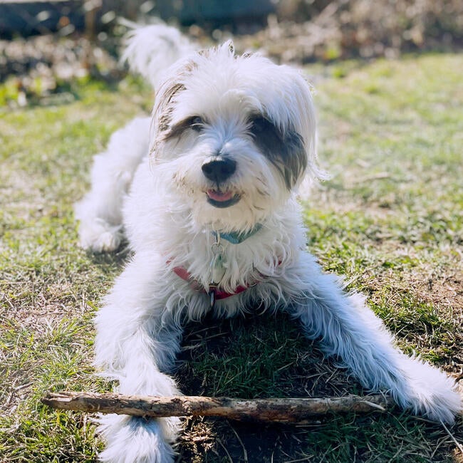 494eb7e1-f5e8-4b73-bd48-e871da41a33d