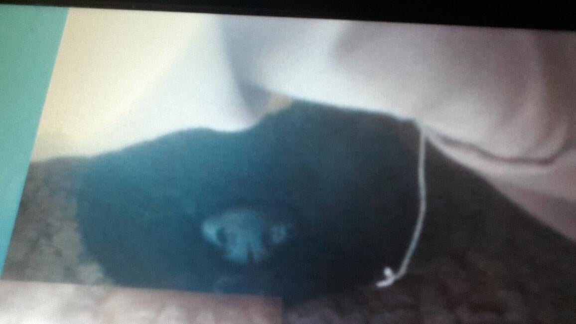 1745548757127-2006207663