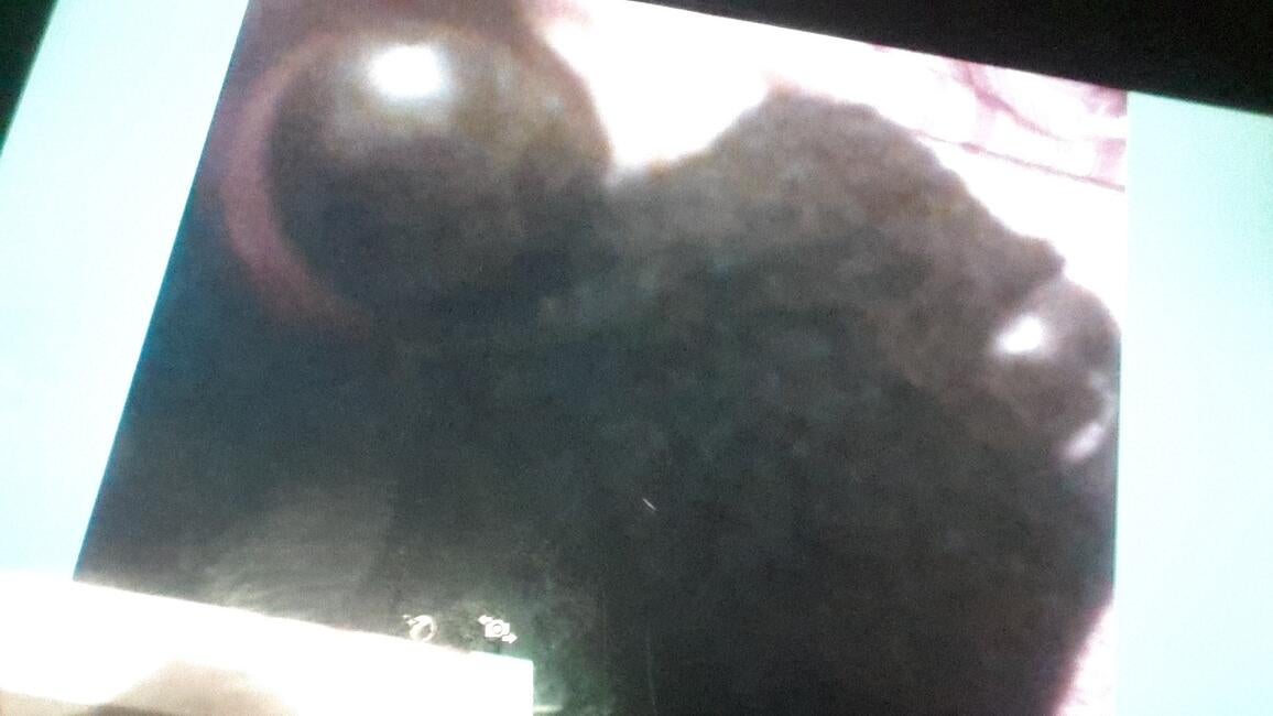 1745548866829-1815671945