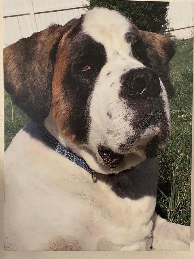 60581686007__5c558106-d741-44e6-bd0c-742f69c2f7fa