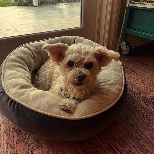 5e207c6c-64e4-4fba-8e5a-b2ab6fa9075d