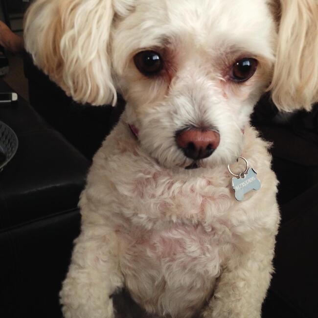 872f3c9b-511d-466d-b584-86098e2fadc1