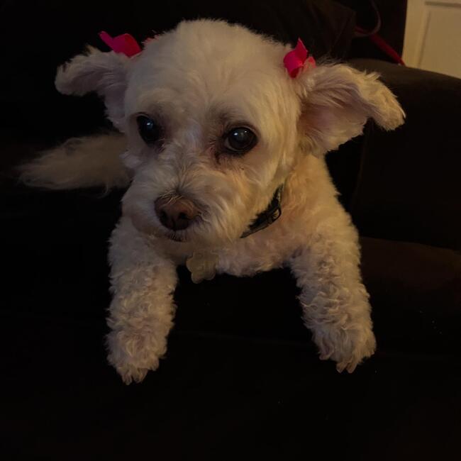 c7d1e29c-a552-4133-bc11-34446dbe7428