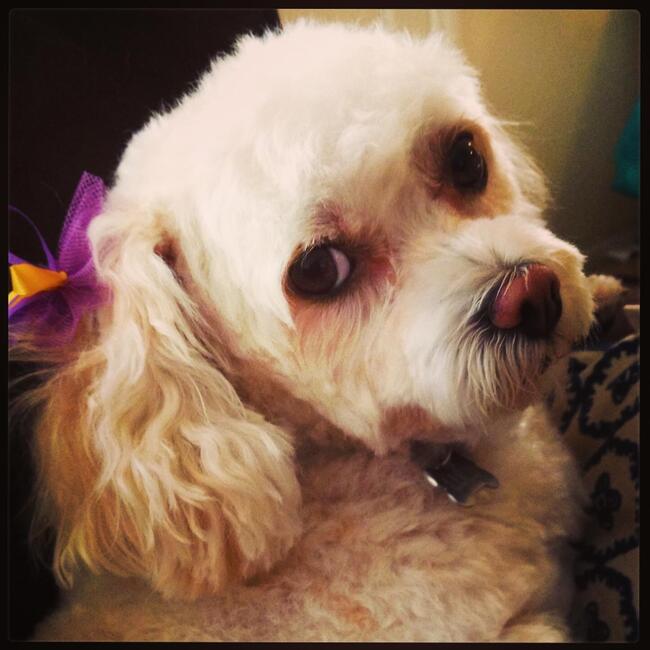 cbcb0bee-0c82-43cc-8e6b-806a13917c74