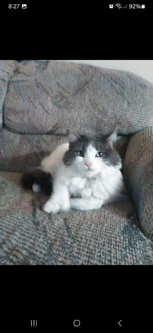 inbound5428734440759858153