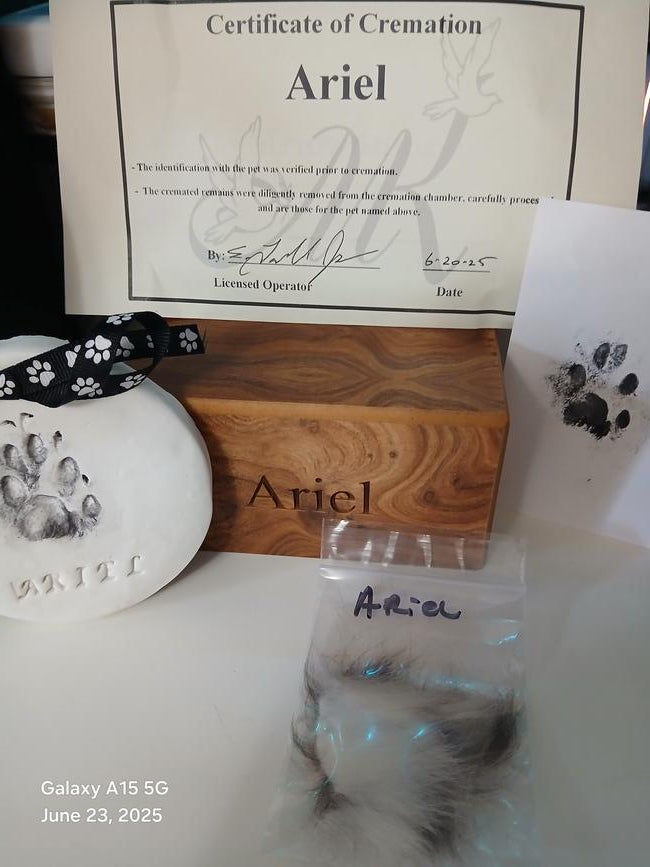 inbound8645441737233771726