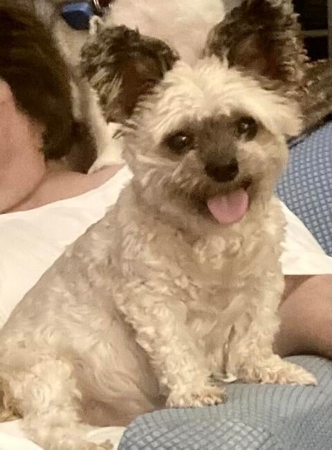 bcedbac2-e4a3-4a44-8bb7-2bba86bb3725