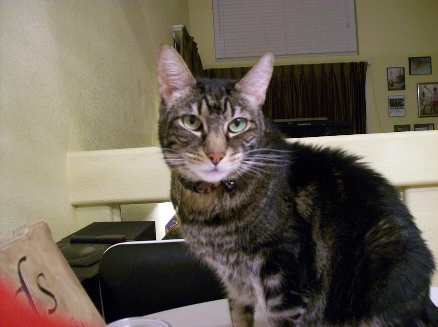 angel-beautiful-photo