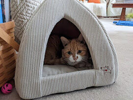 pxl_20220120_144233685