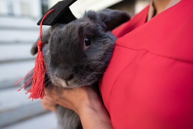 bunn3