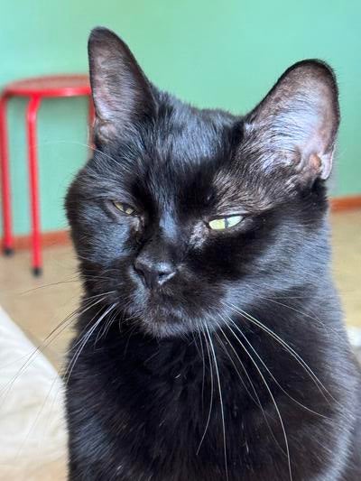 Memorial-image-of-Marty