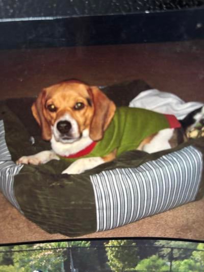 Memorial-image-of-Tim