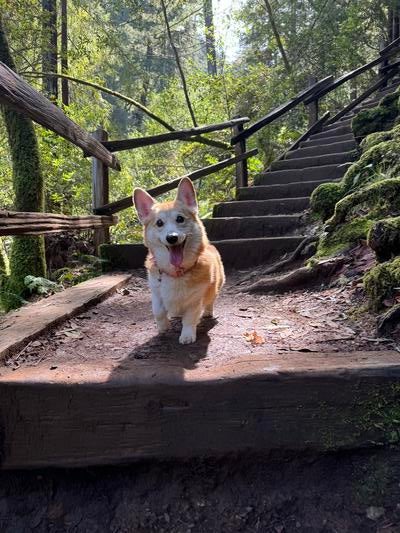 Memorial-image-of-Avery