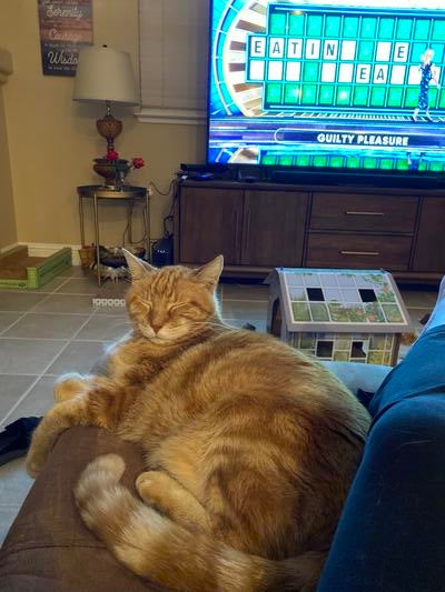 Memorial-image-of-Tigger-