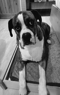 Memorial-image-of-Big-Boy-Duke