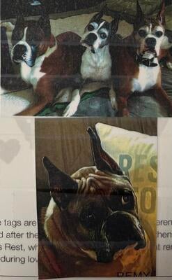 Memorial-image-of-Sydney,-Kirby,-Morgan,-&-Remy