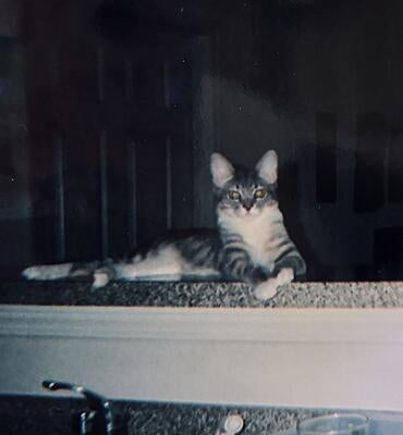 Memorial-image-of-Tammy