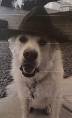 Memorial-image-of-Watson