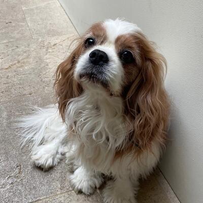 Memorial-image-of-Lord-Bentley