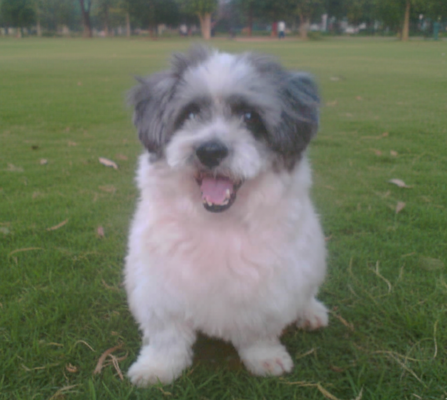 Memorial-image-of-Caesar-Samundeeswari