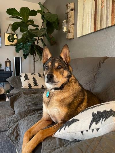 Memorial-image-of-Nellie