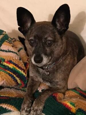 Memorial-image-of-Mac