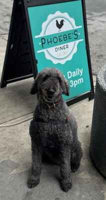 Memorial-image-of-Phoebe