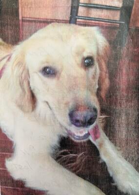 Memorial-image-of-Breck