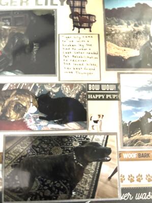 Memorial-image-of-Tiger-Lily