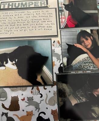 Memorial-image-of-Thumper