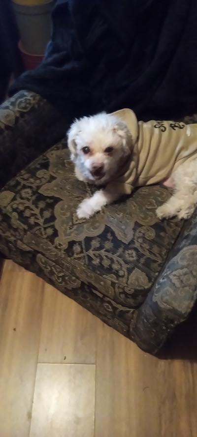 Memorial-image-of-Jacob-