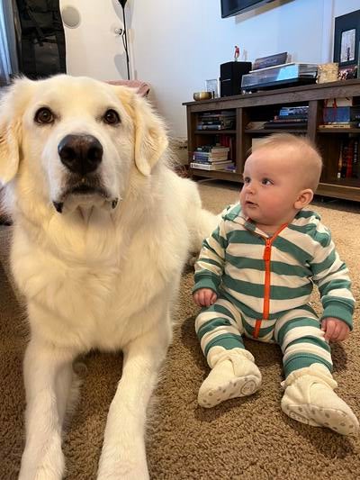 Memorial-image-of-Luna