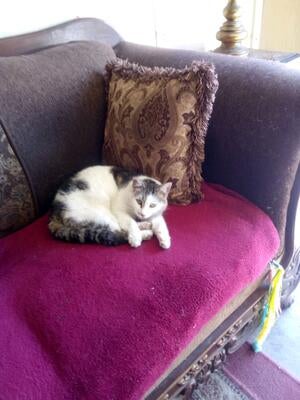 Memorial-image-of-Lydia-and-eve