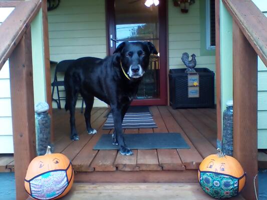 Memorial-image-of-JACK-