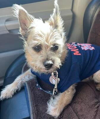 Memorial-image-of-Raskal