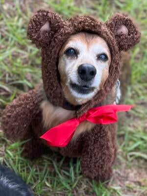 Memorial-image-of-Scarlett