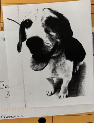 Memorial-image-of-Benson