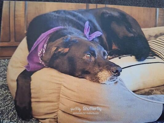 Memorial-image-of-Asche