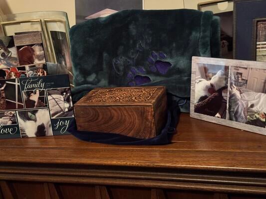 Memorial-image-of-Oscar