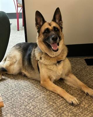 Memorial-image-of-Serenity