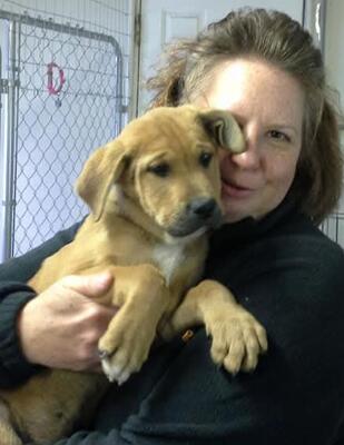 Memorial-image-of-Tucker