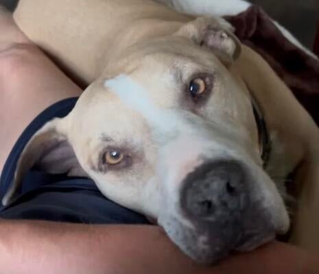 Memorial-image-of-Teddy-Jon