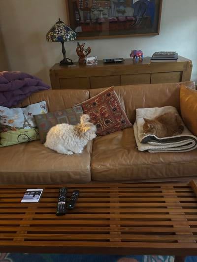 Memorial-image-of-Rusty