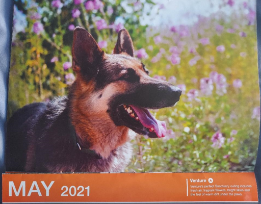 Memorial-image-of-Venture