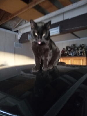 Memorial-image-of-Micah