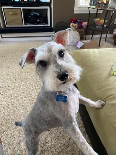 Memorial-image-of-Jonah-