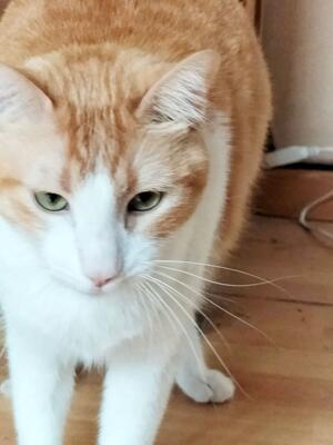 Memorial-image-of-Albondiga