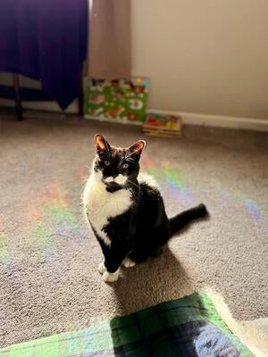 Memorial-image-of-Rory-Kunka