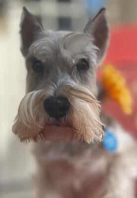 Memorial-image-of-Linda