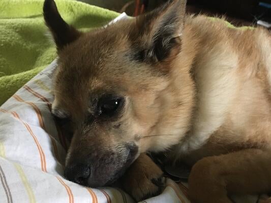 Memorial-image-of-Jackson-